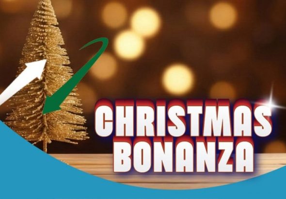 bsnl-christmas-bonanza-plan-announced-with-2gb-of-daily-data-and-unlimited-calls-price-benefits-ac01ec3.jpg