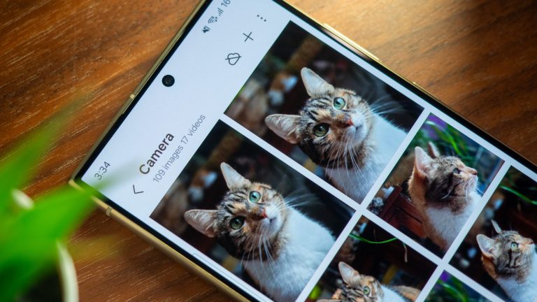samsung-galaxy-s24-ultra-gallery-cat-pet-1-scaled-1