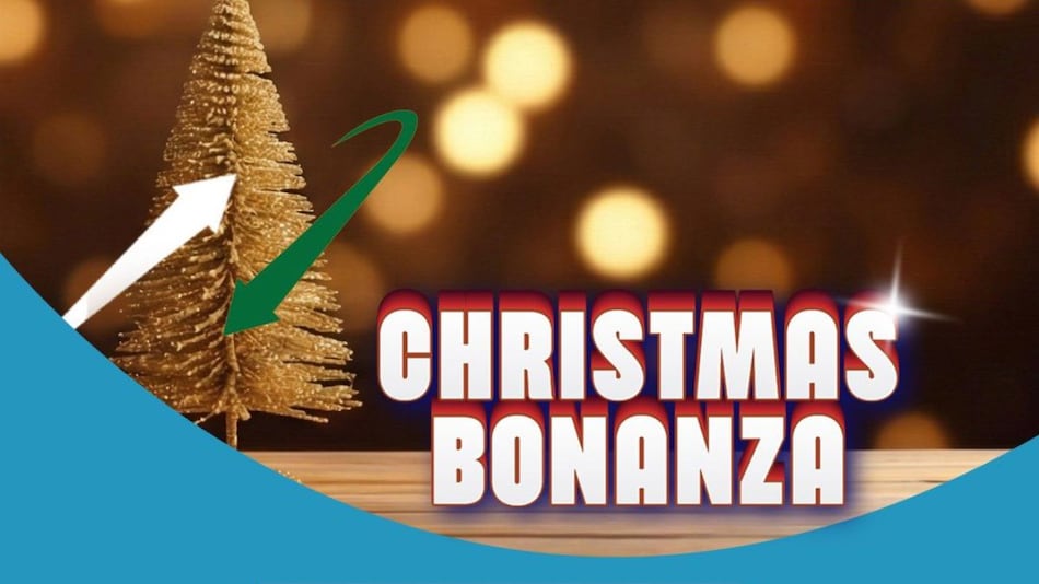 BSNL Christmas Bonanza Plan Announced With 2GB of Daily Data and Unlimited Calls: Price, Benefits