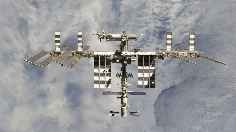 ISS Experiment Shows Moss Spores Can Survive Harsh Space Environment